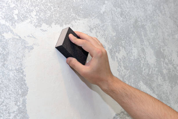 Best Forensic Mold Investigation  in Canadian Lakes, MI